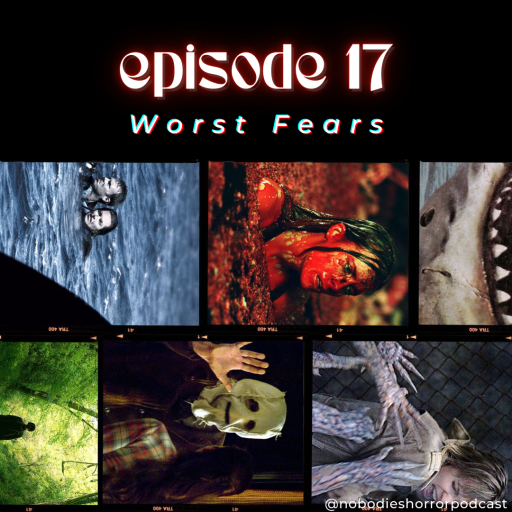 Episode 17: Worst&nbsp;Fears